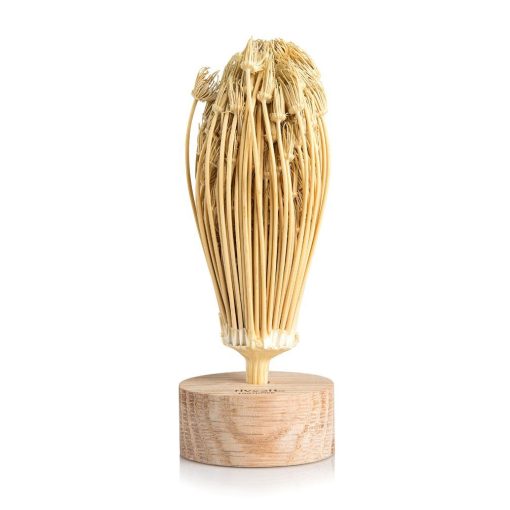 Rivsalt toothpick