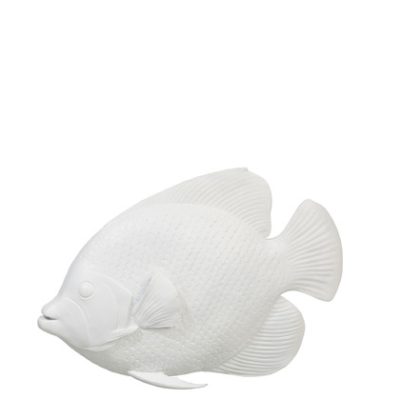 J-Line Tropische vis deco poly - wit