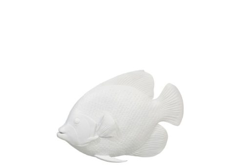 J-Line Tropische vis deco poly - wit