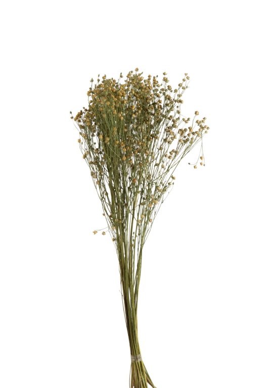 J-Line bundeltje met vlasbloemen