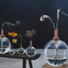 Scandinavia Form Glasilium D85 transparant - Afbeelding 2