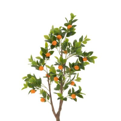 J-Line Sinaasappelboom in pot