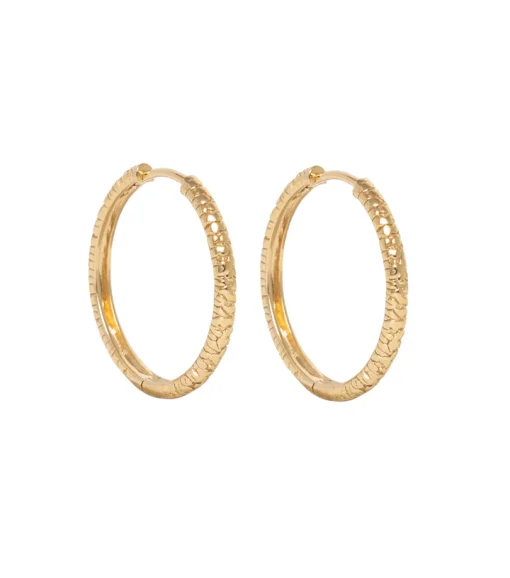 Miab oorbellen structure click goud
