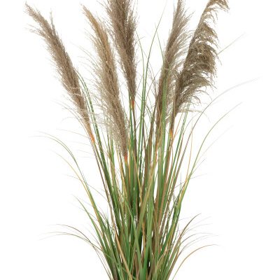 J-line pampas gras 5 koppen pot pvc Small