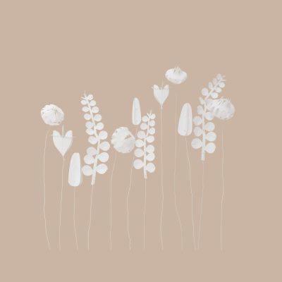 Jurianne matter Field flower White Large